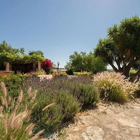 Ecoagroturismo Feliu
