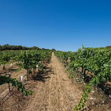 Rural Feliu